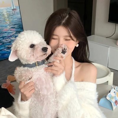 神龙飞侠